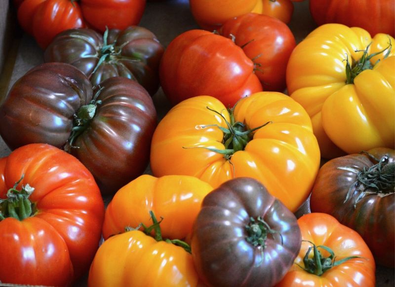 Mixed Slicer Tomatoes (wholesale)