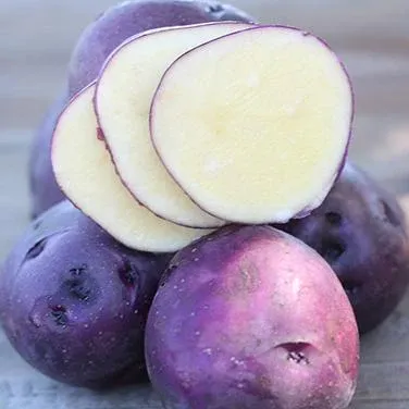 Snow Country Gardens Huckleberry Gold Potatoes (3lb bag)