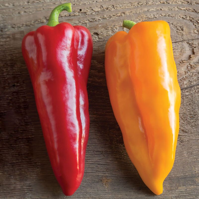Sweet Peppers- 1lb bag (wholesale)