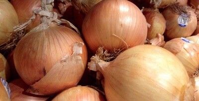 White onions: 3# bag (wholesale)
