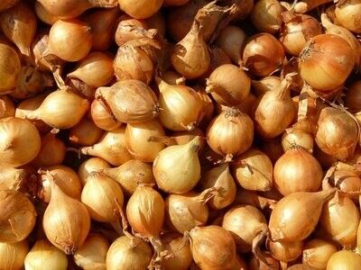 Shallots- 2.5lb bag (wholesale)