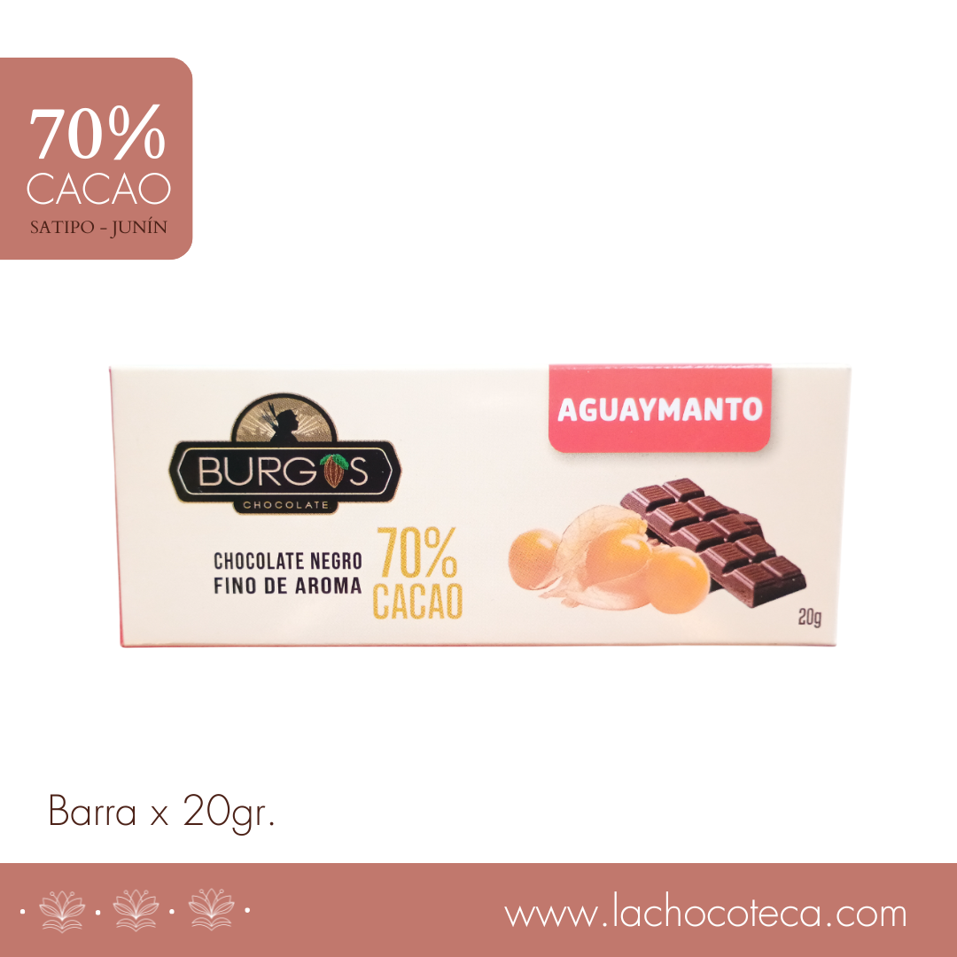 Barra de Cacao 70% con Aguaymanto x 20gr - BURGOS