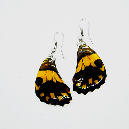 Boho Butterfly Earring - Swallowtail