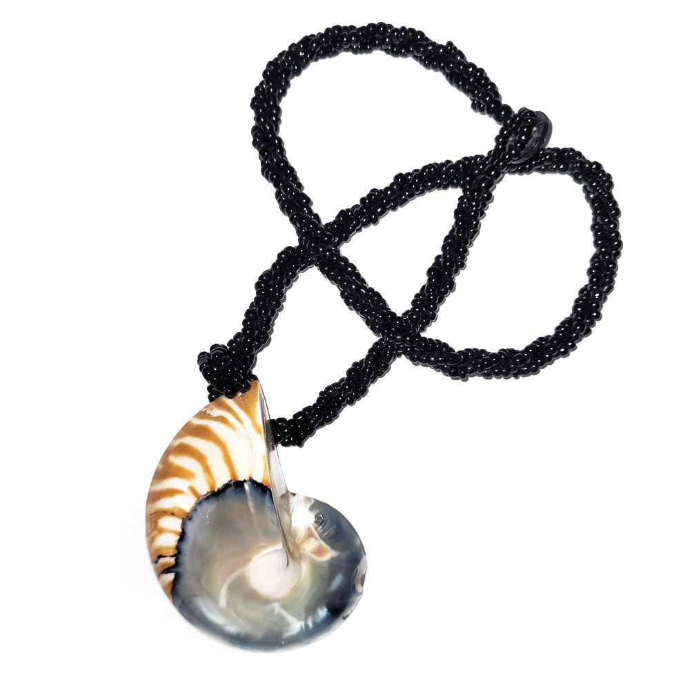 Nautilus Shell Necklace Nautilus Shell Necklace