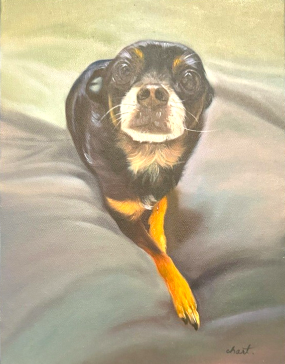 Pet Portrait Large - Oil