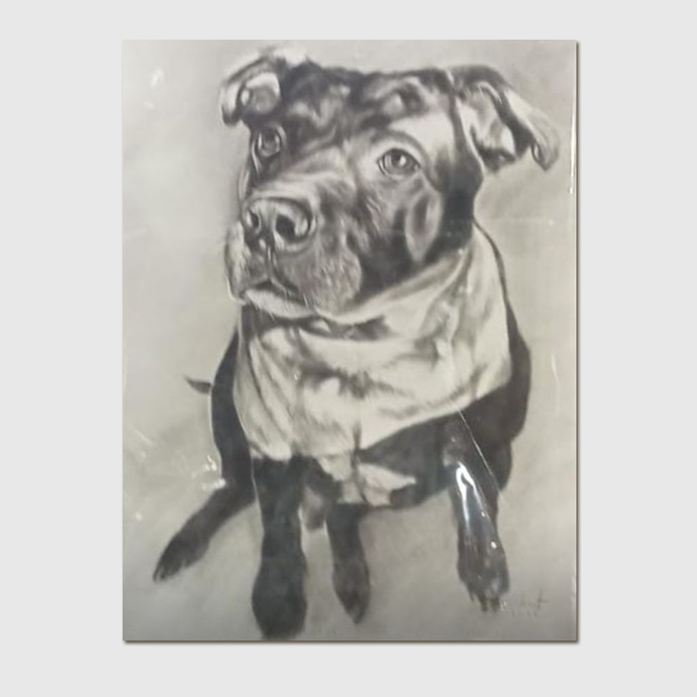Pet Portrait Small - Charcoal Pet Portrait Small - Charcoal
