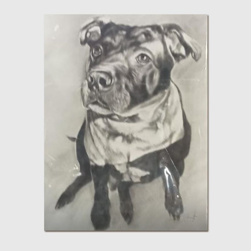 Pet Portrait Small - Charcoal