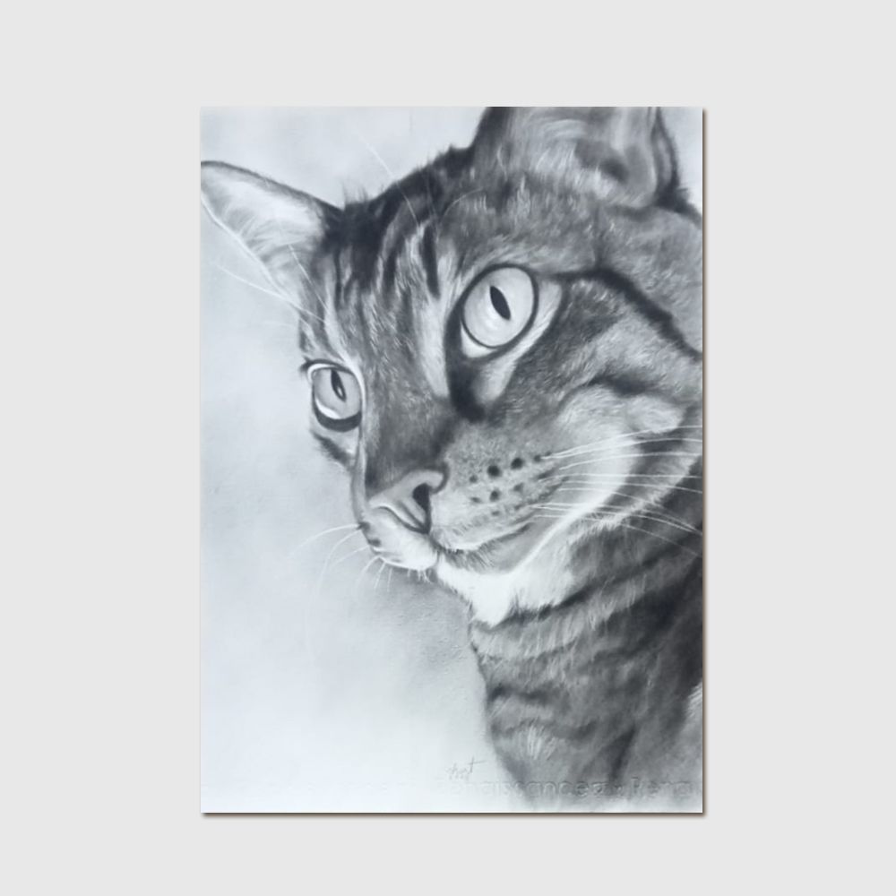 Pet Portrait Large - Charcoal Pet Portrait Large - Charcoal