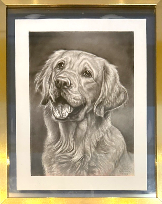 Pet Portrait Large - Charcoal
