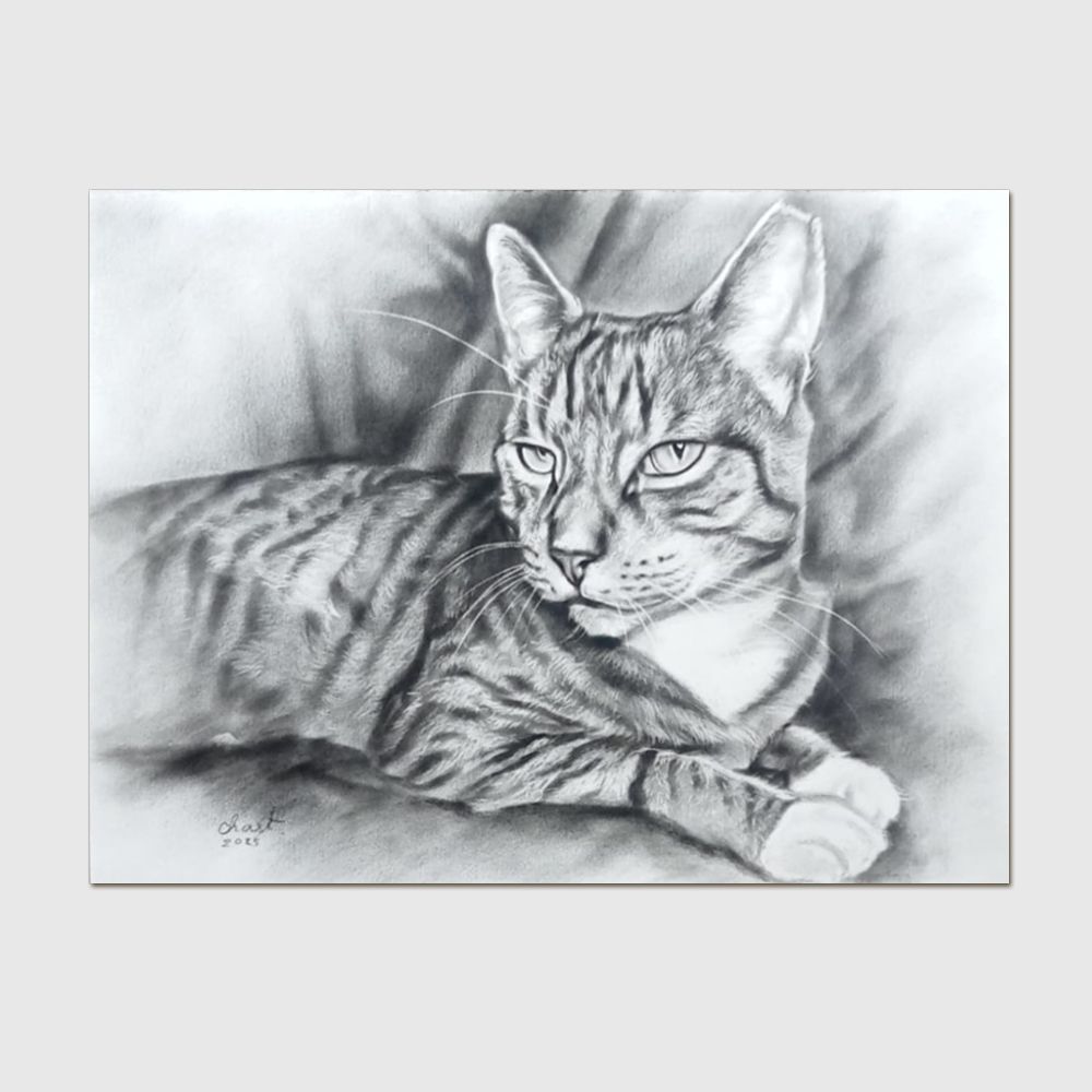 Pet Portrait Medium - Charcoal Pet Portrait Medium - Charcoal