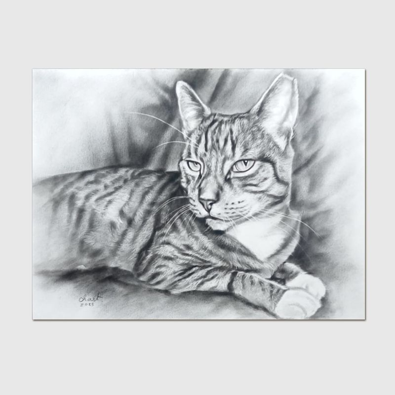 Pet Portrait Medium - Charcoal