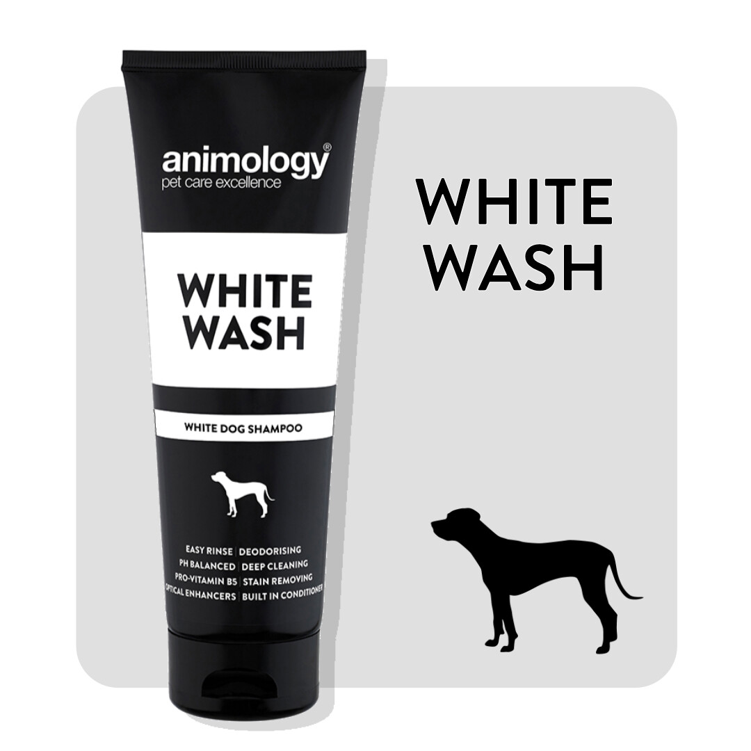 ANIMOLOGY® SHAMPOO
