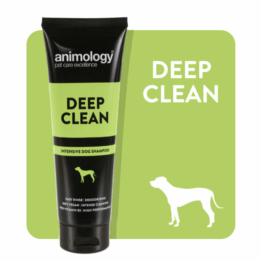 ANIMOLOGY® SHAMPOO