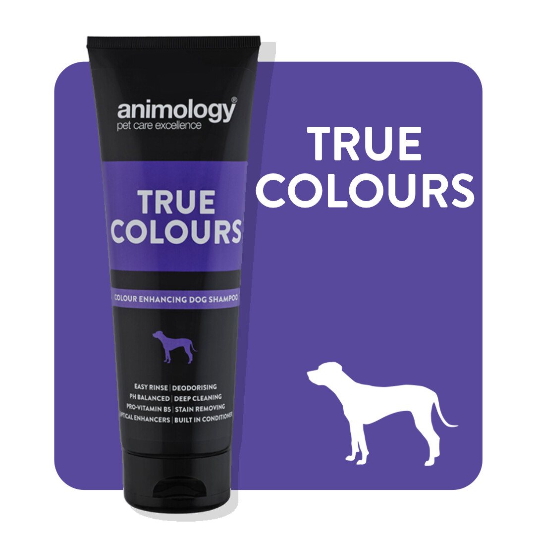 ANIMOLOGY® SHAMPOO