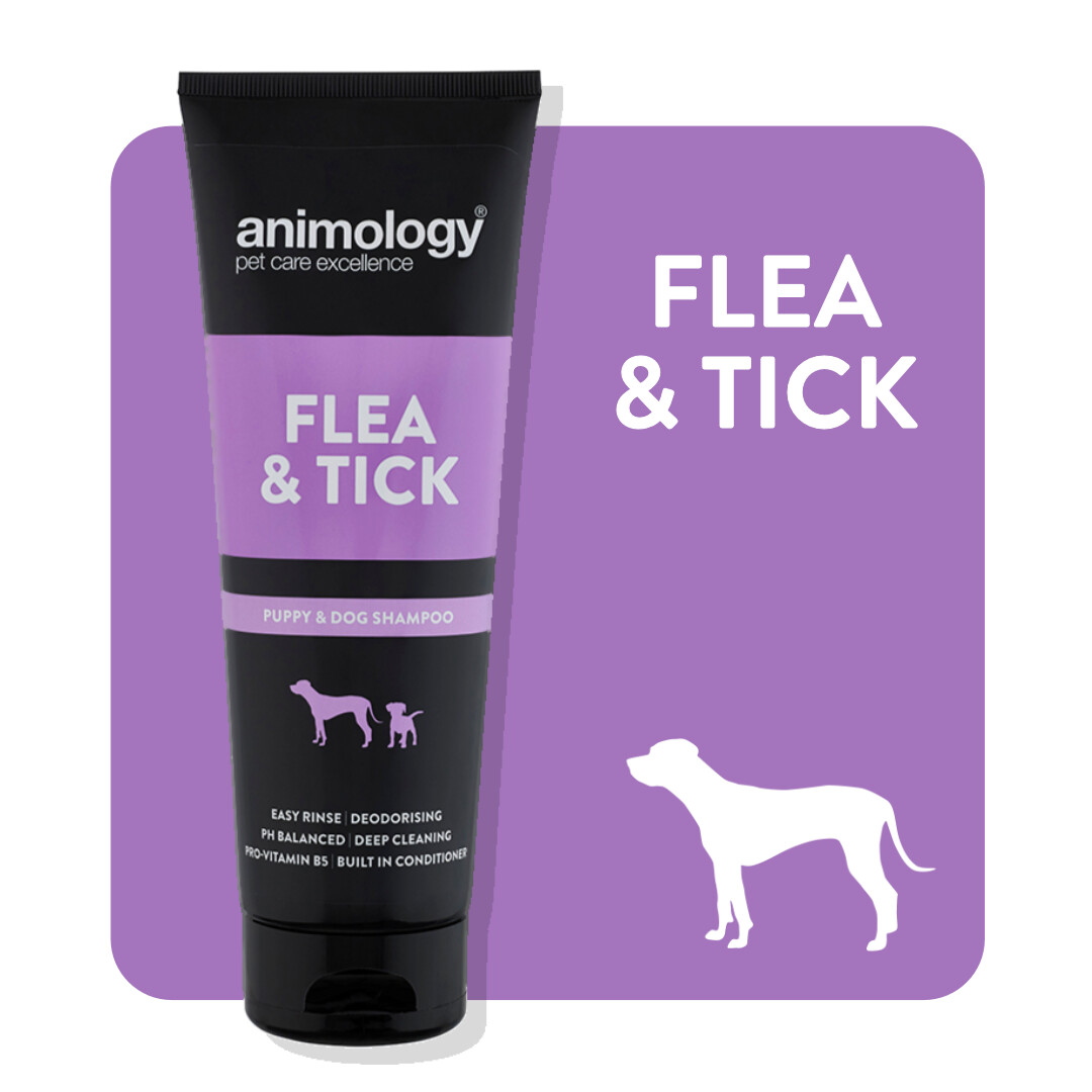 ANIMOLOGY® SHAMPOO