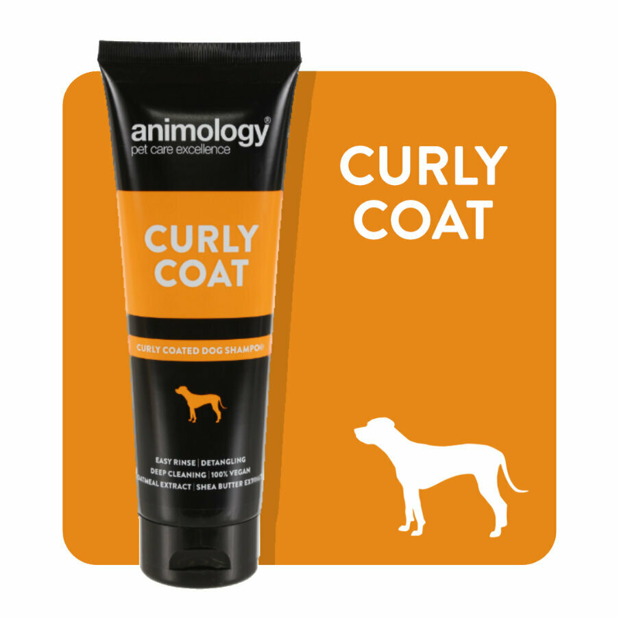 ANIMOLOGY® SHAMPOO