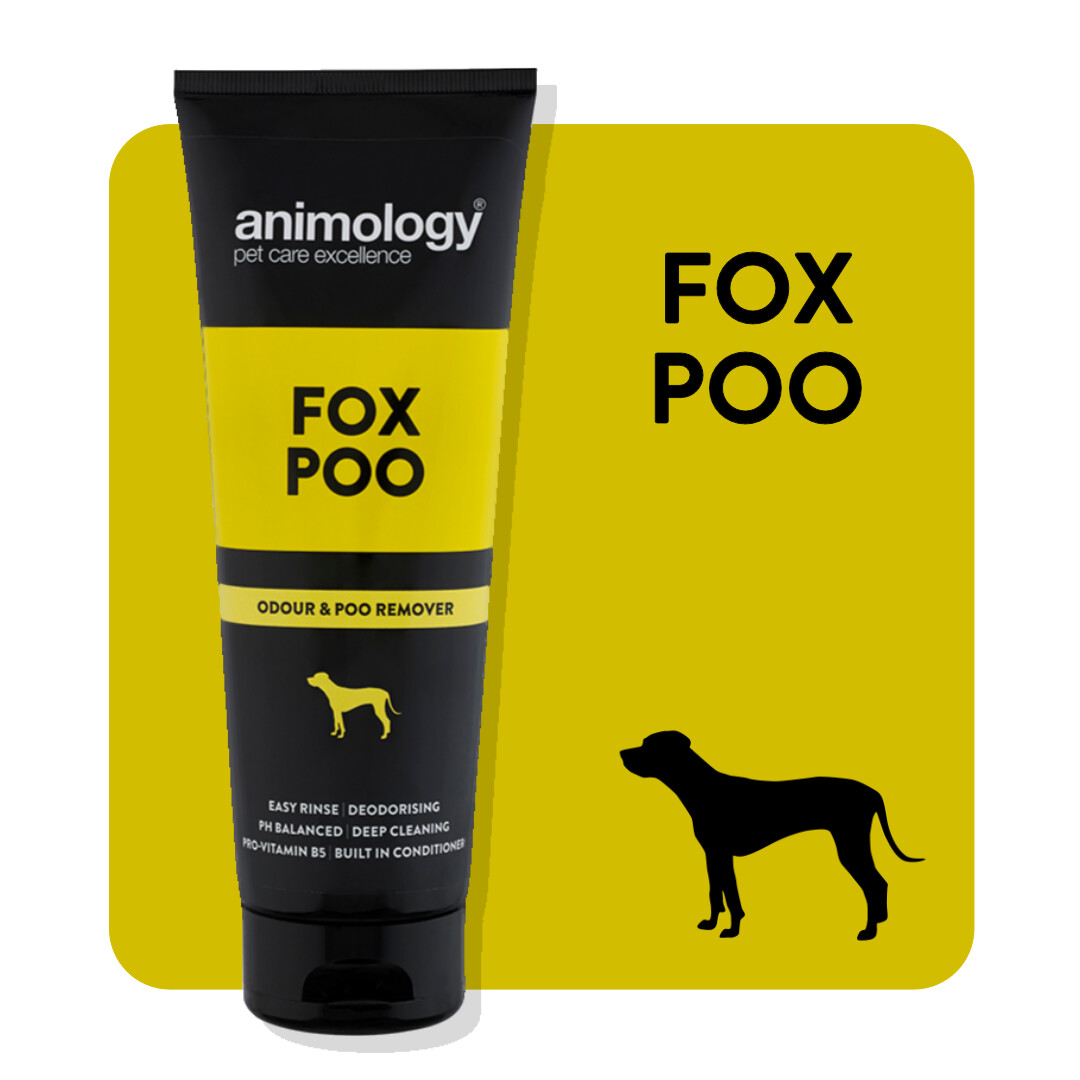 ANIMOLOGY® SHAMPOO
