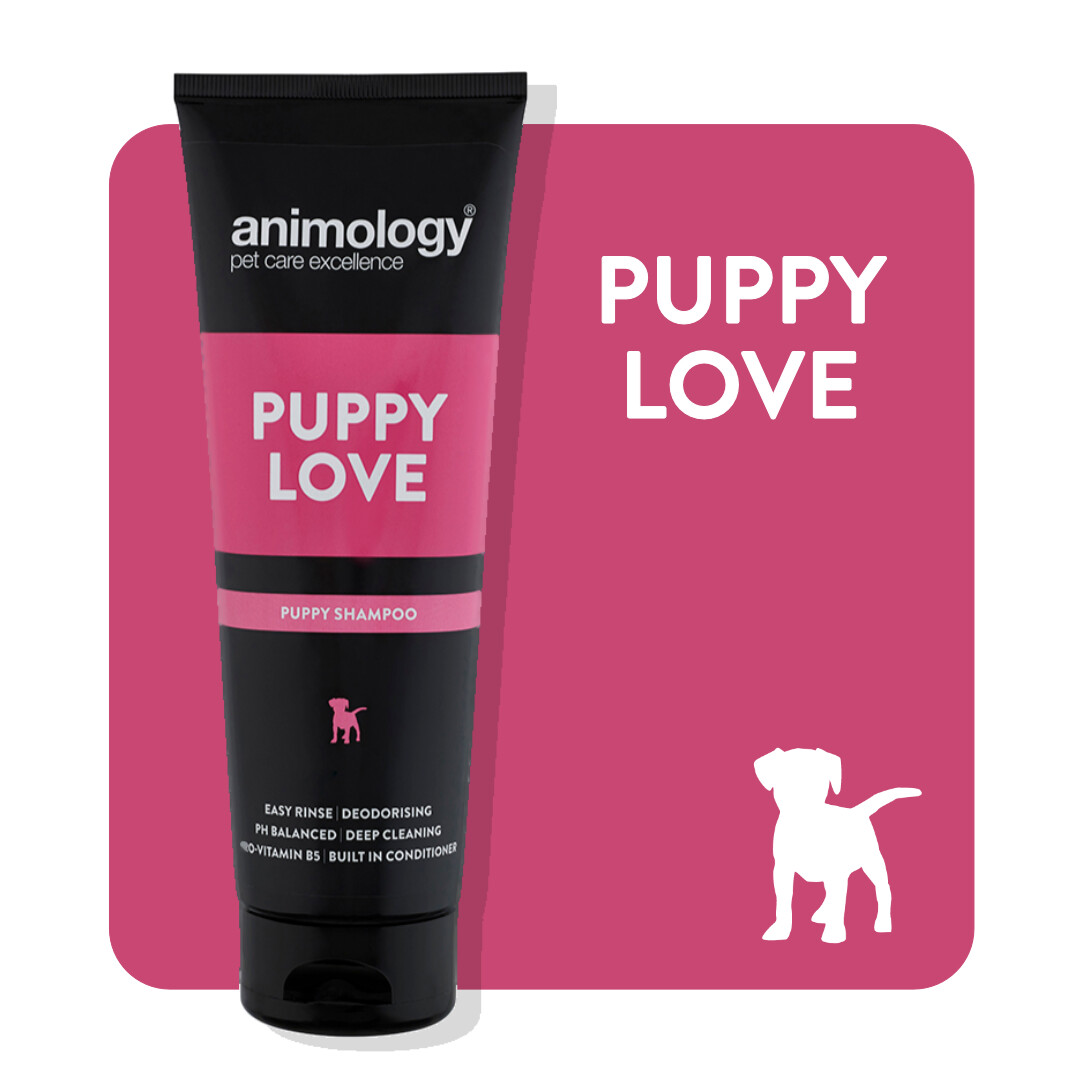 ANIMOLOGY® SHAMPOO
