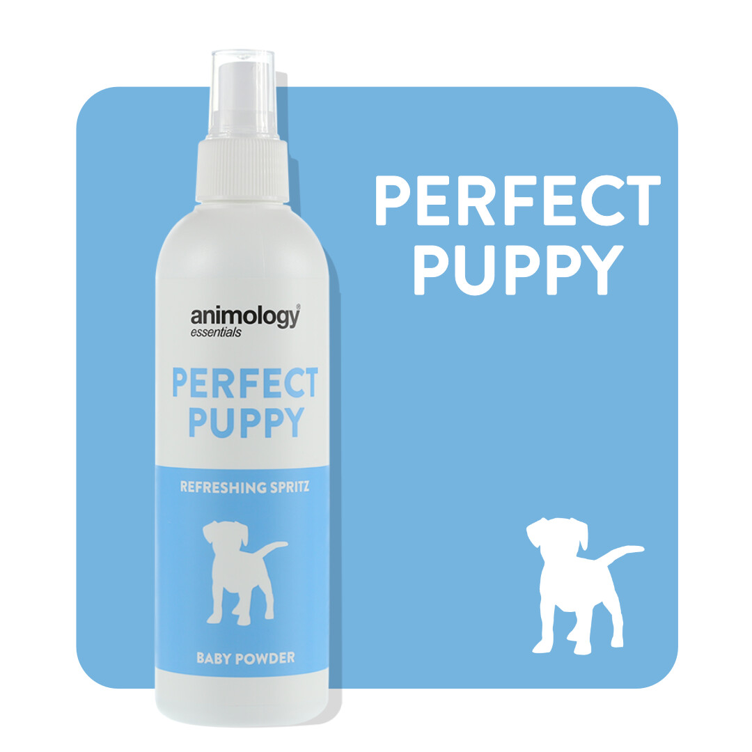 ANIMOLOGY® SPRAY
