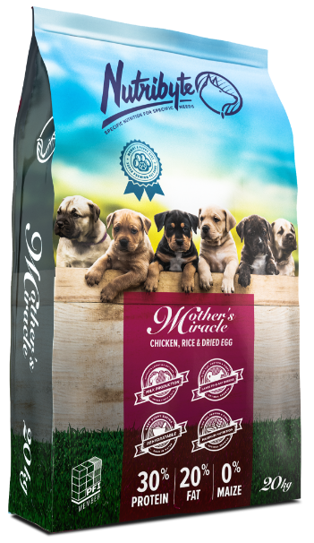 NUTRIBYTE DOGS