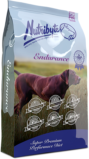 NUTRIBYTE DOGS