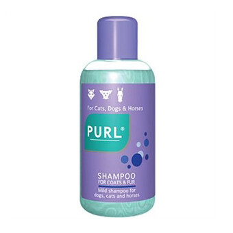 PURL SHAMPOO