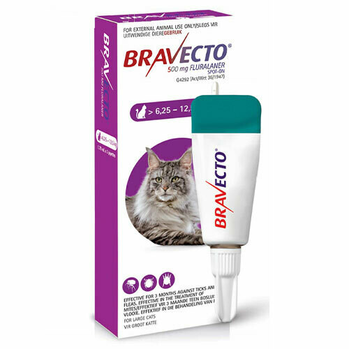 BRAVECTO  CAT Spot On