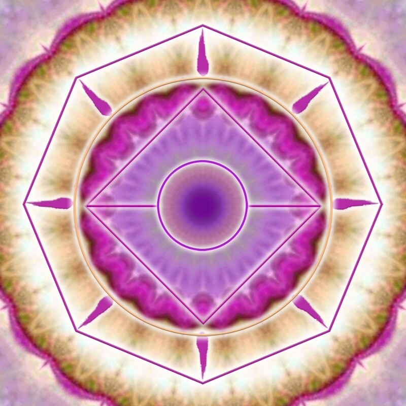 Purple Shining Stars