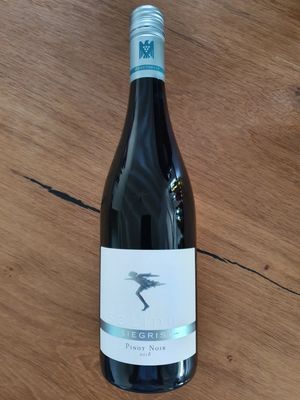 pinot noir Siegrist - Pfalz