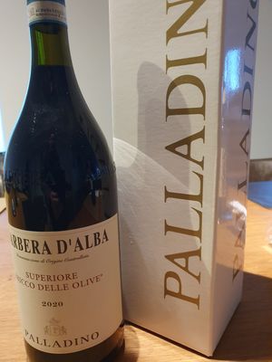 Barbera d&#39;Alba Bricco del Olive Palladino - MAGNUM in geschenkverpakking