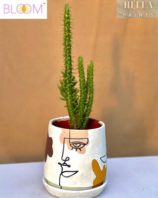 Eve’s Needle in a White Based filled with Line Art Clay Pot
