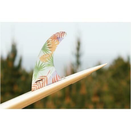 Root Tropica