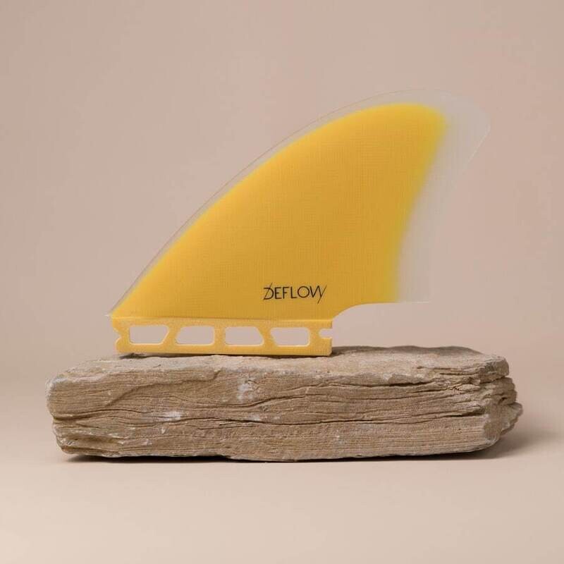 Palm