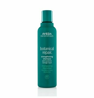 Aveda botanical repair strengthening shampoo av sku AX1001 122891 - Gisella Bernasconi Hair Stylist