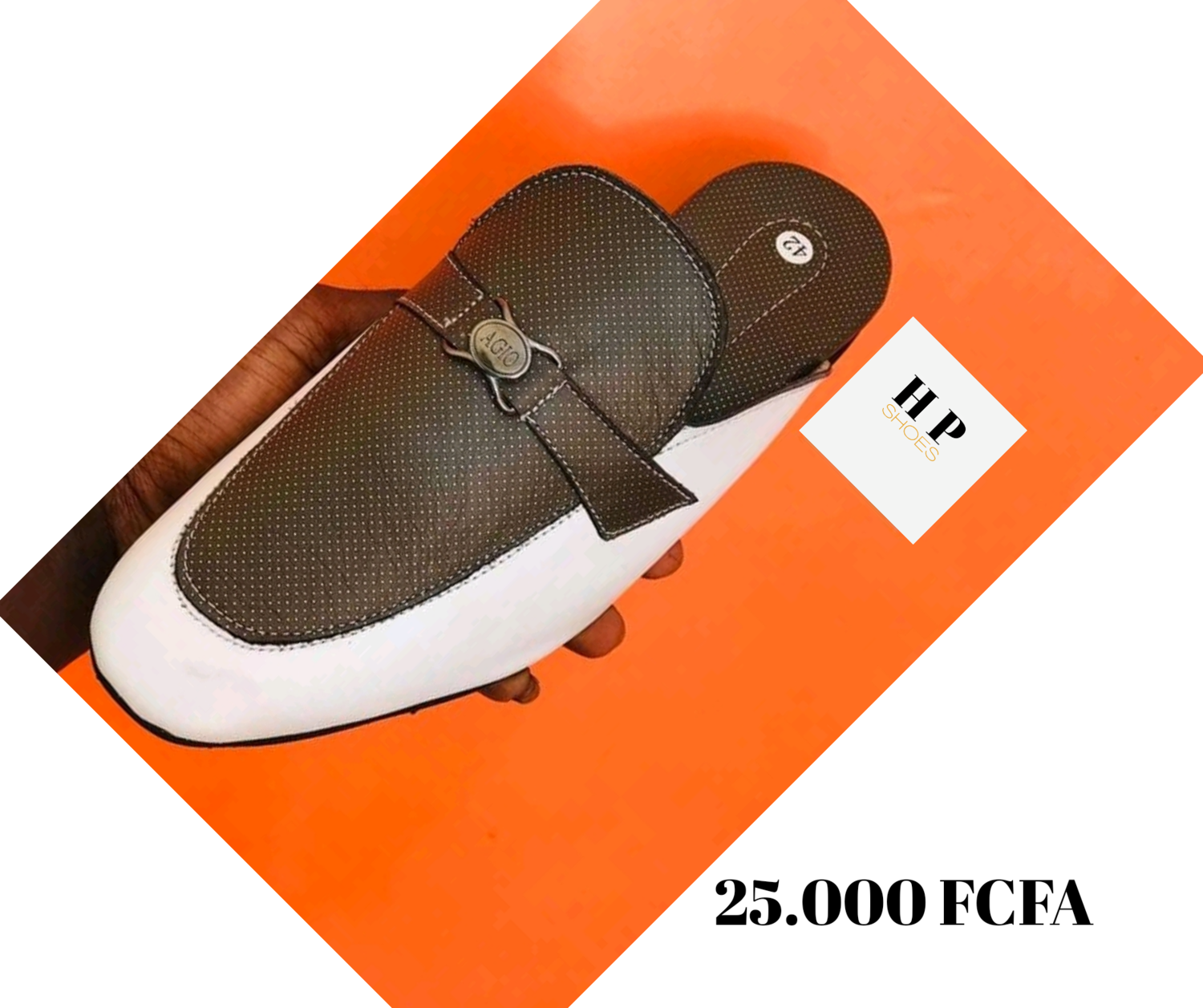 Chaussure HP shoes