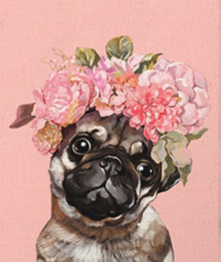 RosaDog