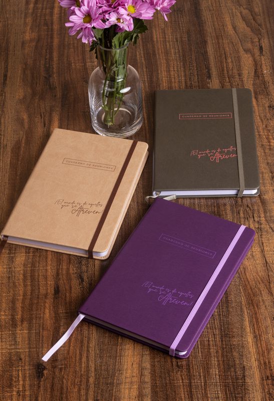 KIT DE 3 CUADERNOS DE REUNIONES