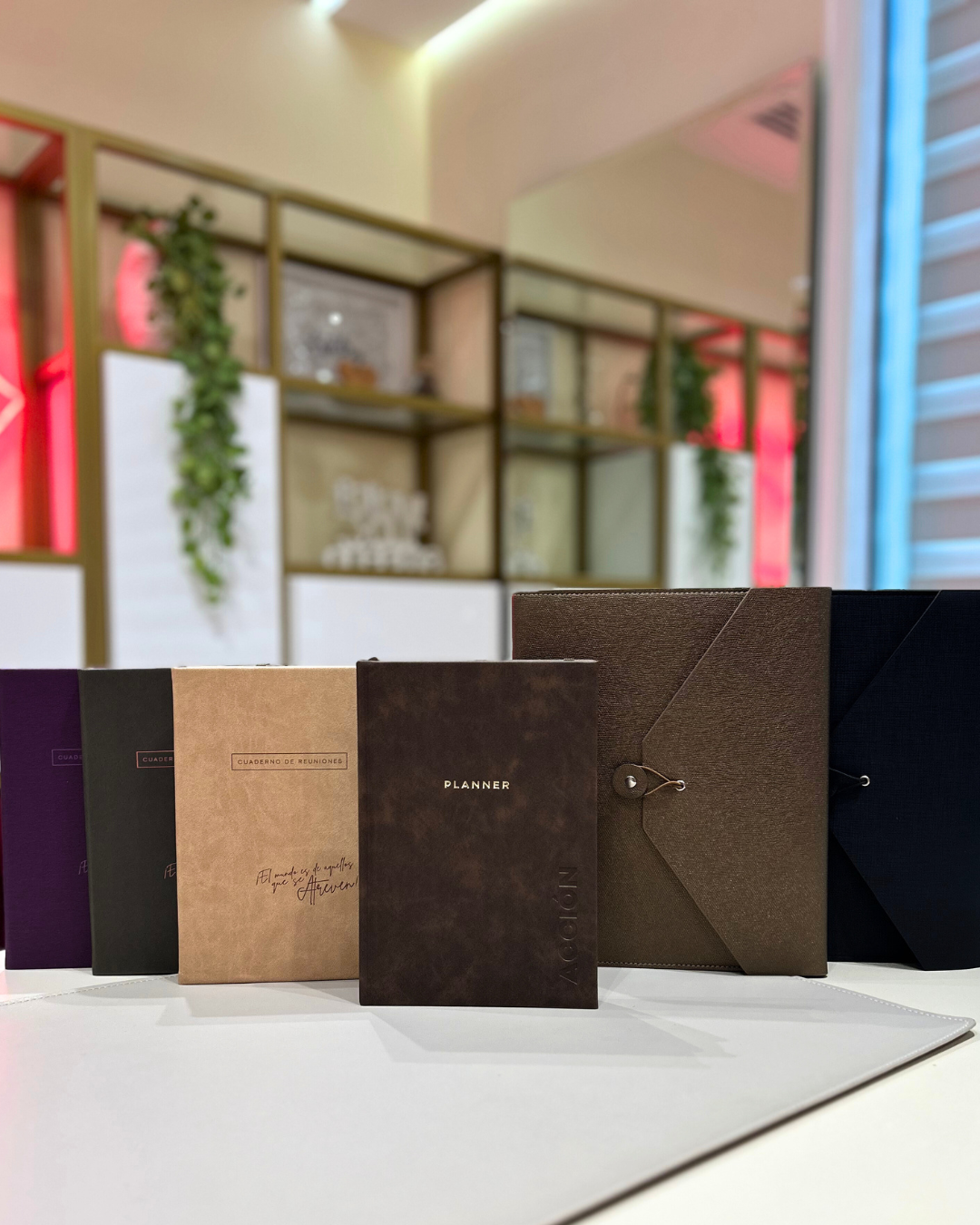 COLECCIÓN DE PAPELERÍA PLANNER UNISEX 2025/2026