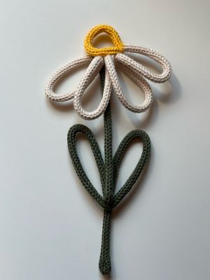 Droopy Daisy