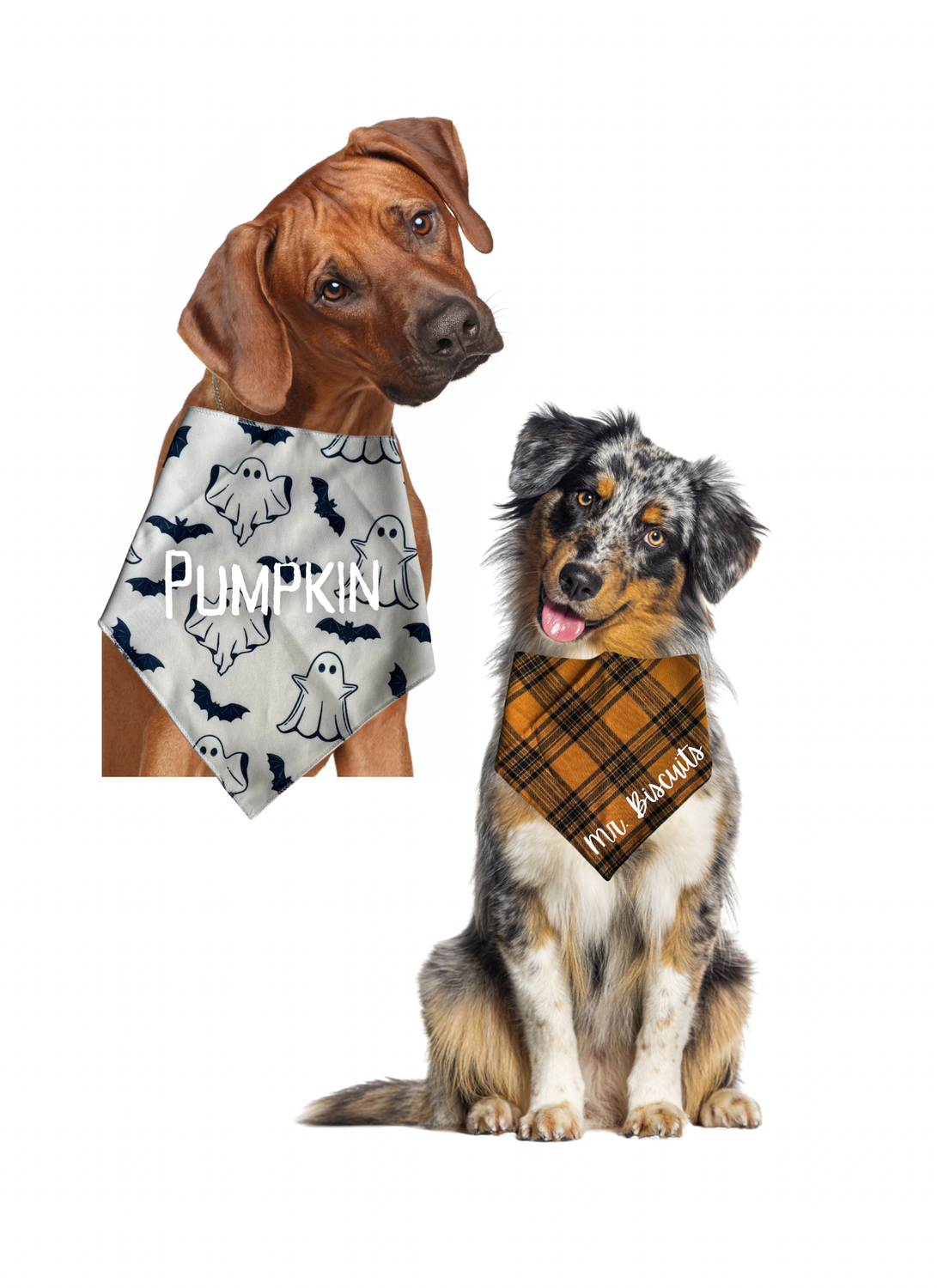 CUSTOM Messy Mutt Bandanas