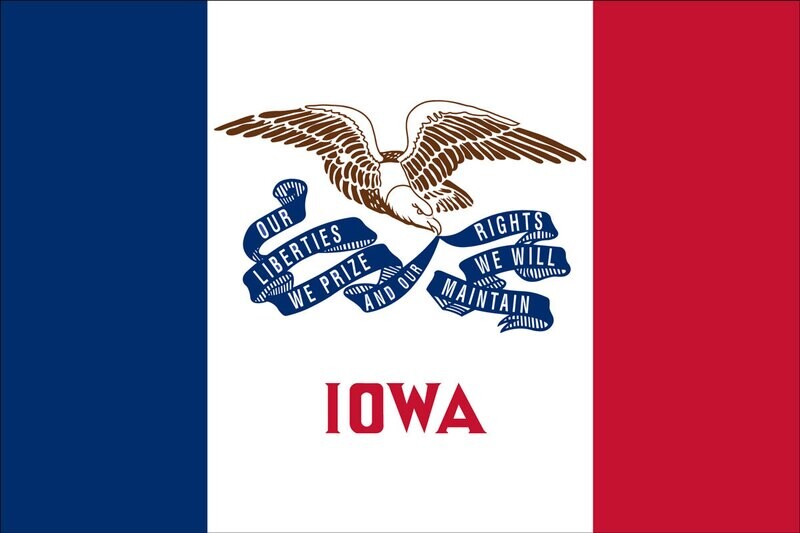 Iowa State Flag