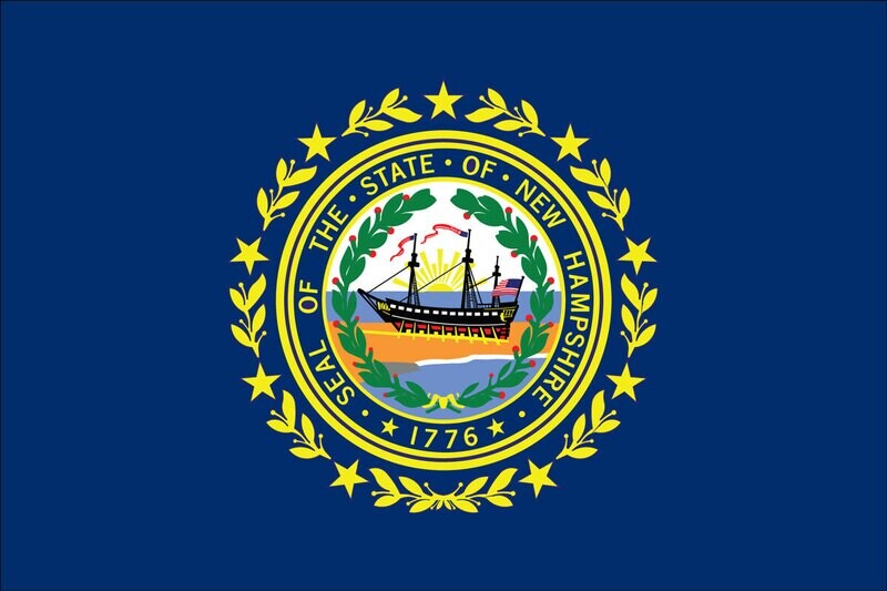 New Hampshire State Flag