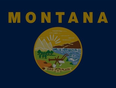 State Flags