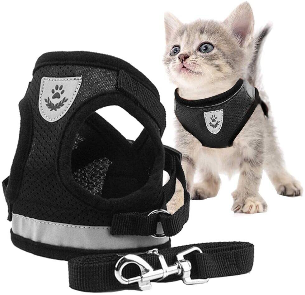 Harnais Chat,Laisse Harnais Chat,Harnais pour Chat,Harnais Laisse pour Chat,Harnais pour Chat avec Laisse Gilet Réfléchissant,Réglable Harnais Laisse pour Chat Petit,aux Chiots Chat Balade
