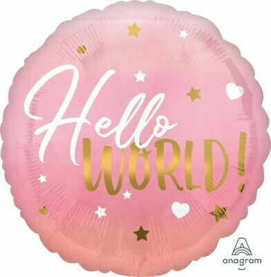 17" Hello World Pink Baby Balloon 4954518