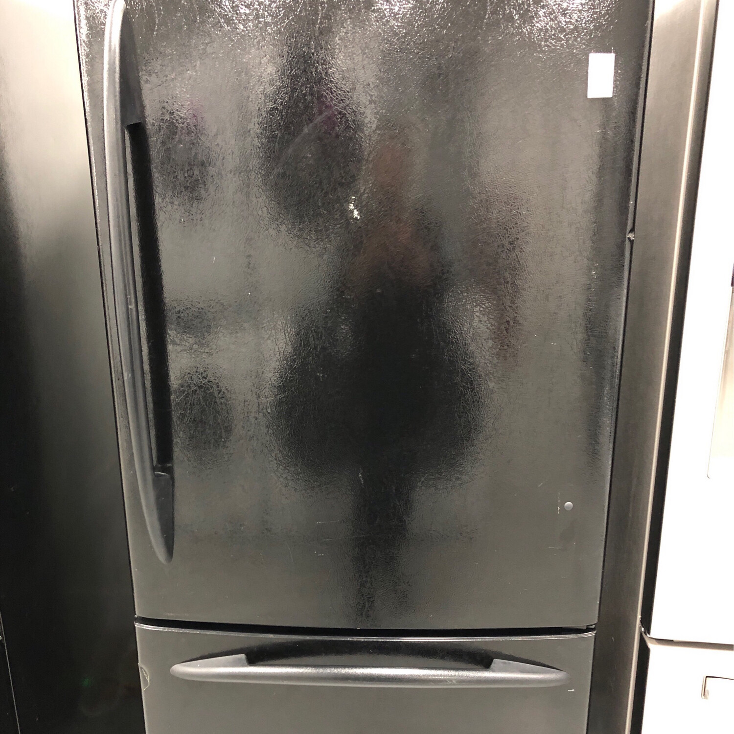 GE Profile 19.5 Cu.Ft Bottom-Freezer  Refrigerator