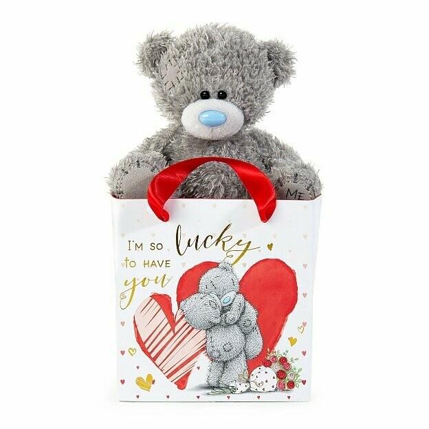 Me to You Bear in a Bag