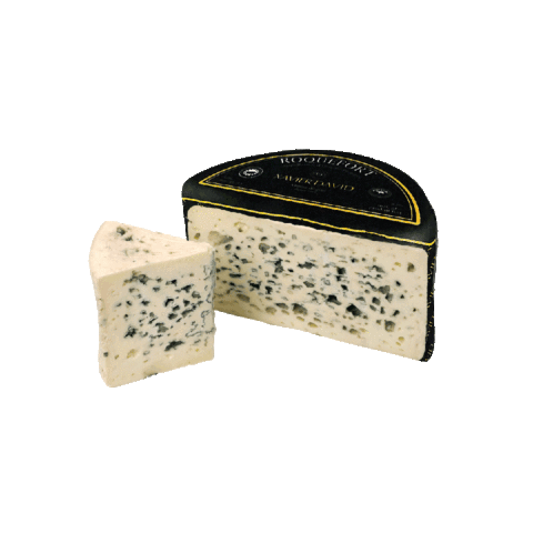 ROQUEFORT XAVIER DAVID