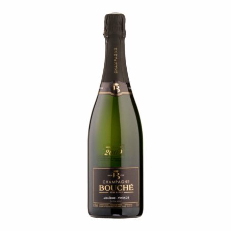 Šampanas Signature Millesime 2009