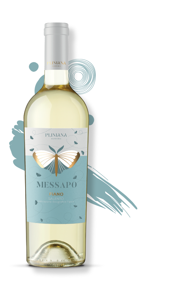 Baltas rūšinis vynas MESSAPO FIANO SALENTO BIANCO IGP